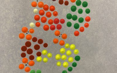 AE HEE LEE. Dream Records. 6-27.11.2025. Curator Lily Fürstenow